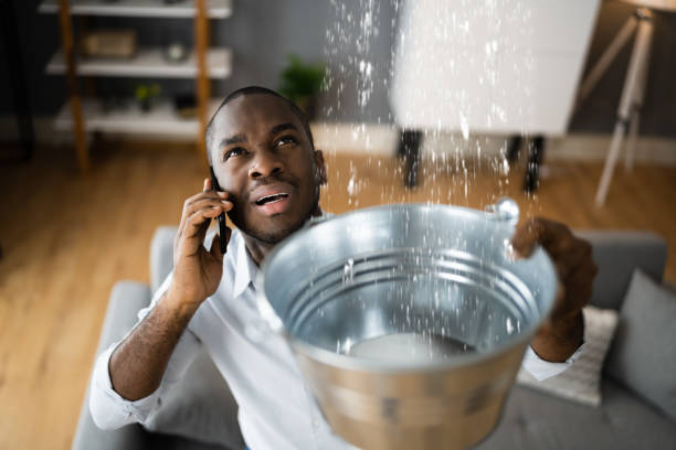 Best 24/7 water damage repair  in Salem, IN