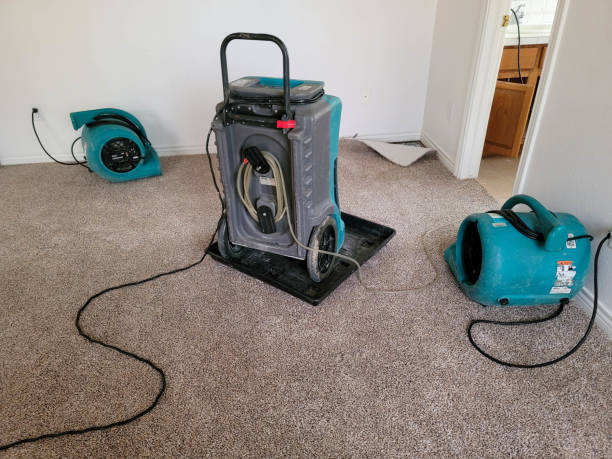 Best Water damage restoration mold remediation  in Salem, IN