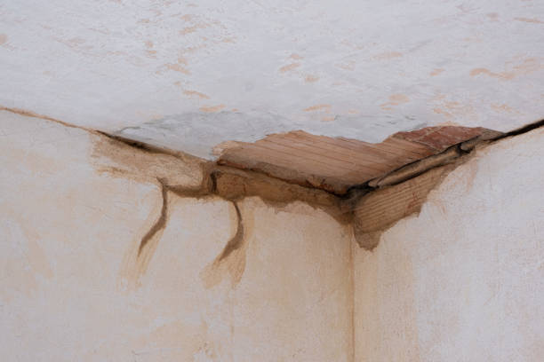 Best Ceiling water damage repair  in Salem, IN