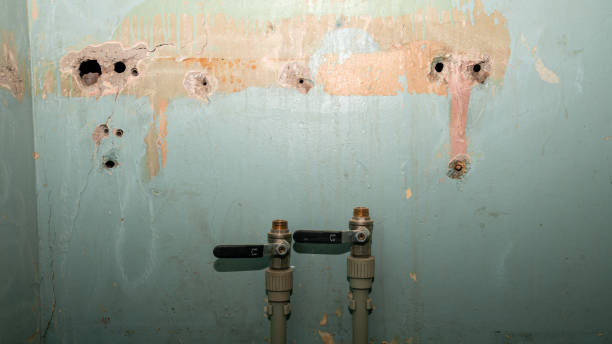 Trusted IN Water damage restoration Experts