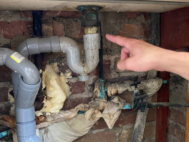 Best Basement water damage restoration  in Salem, IN