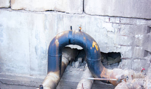 Best Carpet water damage restoration  in Salem, IN