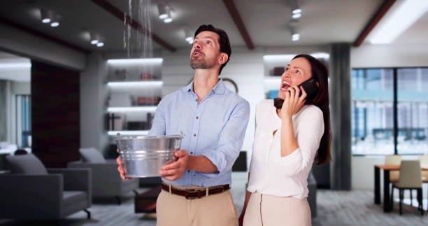 Best Residential water damage restoration  in Salem, IN