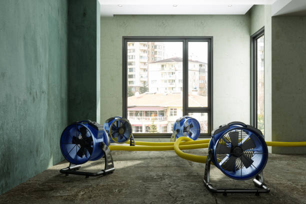 Best Local water damage restoration  in Salem, IN